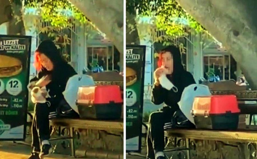 BESLEDİĞİ HAMSTERI ÖNCE TOKATLADI SONRA ISIRMAYA ÇALIŞTI