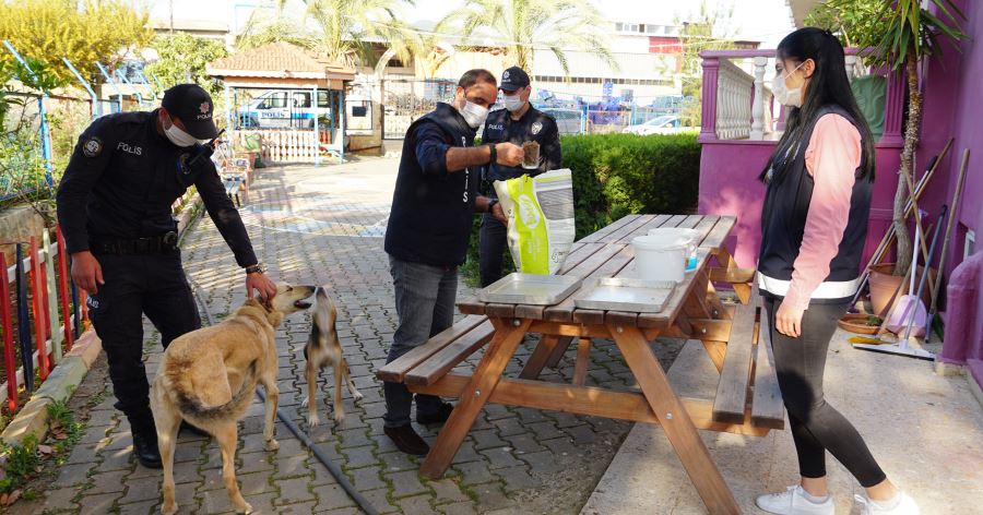 BALIK VE KÖPEKLERİN İMDADINA POLİS YETİŞTİ