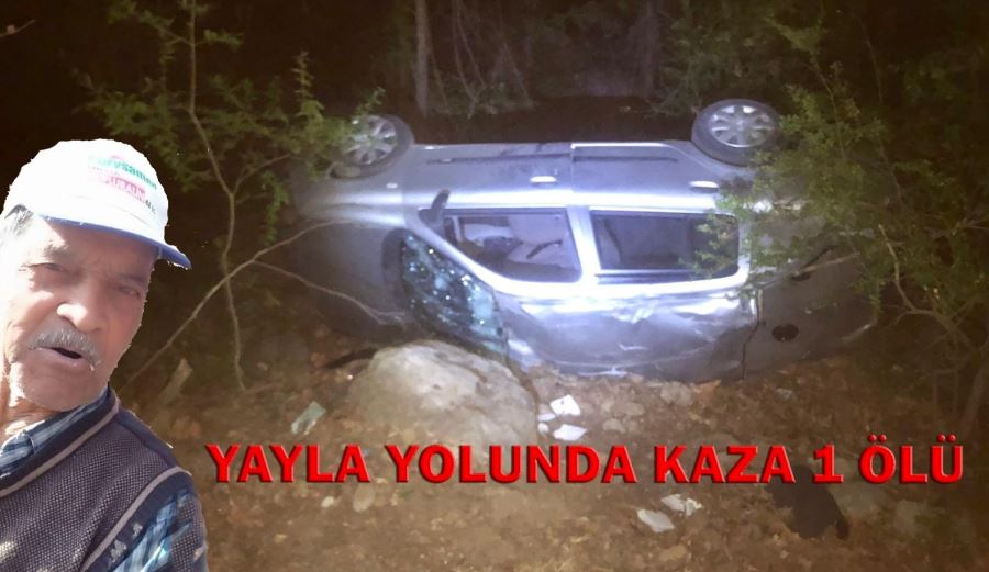 YAYLA YOLUNDA KAZA 1 ÖLÜ