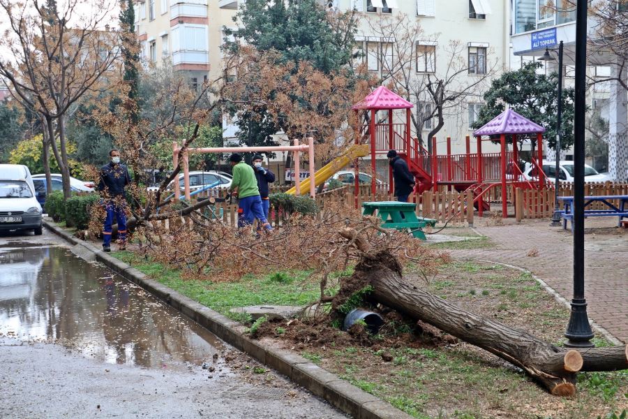 HORTUM AĞAÇLARI KÖKÜNDEN SÖKTÜ, ÇATILARI UÇURDU