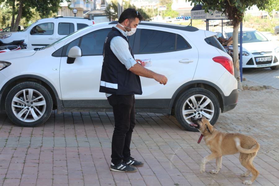 UYGULAMA NOKTASINA GELEN KÖPEĞE POLİS ŞEFKATİ