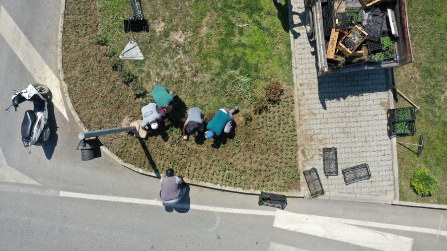 BELEDİYENİN PEYZAJ ÇALIŞMALARI SÜRÜYOR