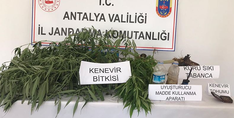 JANDARMADAN KENEVİR BASKINI 