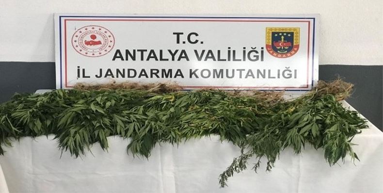 JANDARMA GÖZ AÇTIRMADI