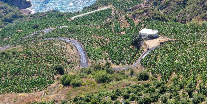 Kral koyu yolu asfaltlanıyor