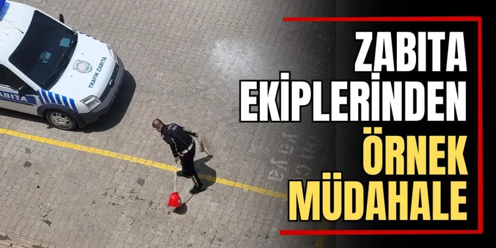 Zabıta Ekiplerinden Örnek Müdahale  