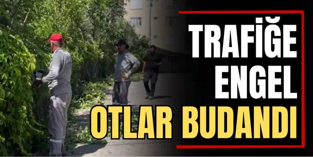 Trafiğe Engel Otlar Budandı 