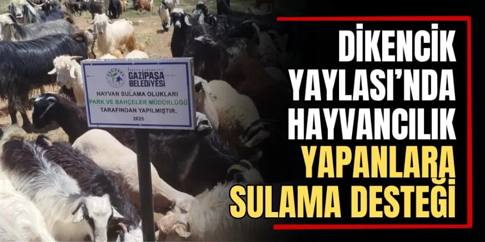 Dikencik Yaylası’nda Hayvancılık Yapanlara Sulama Desteği 