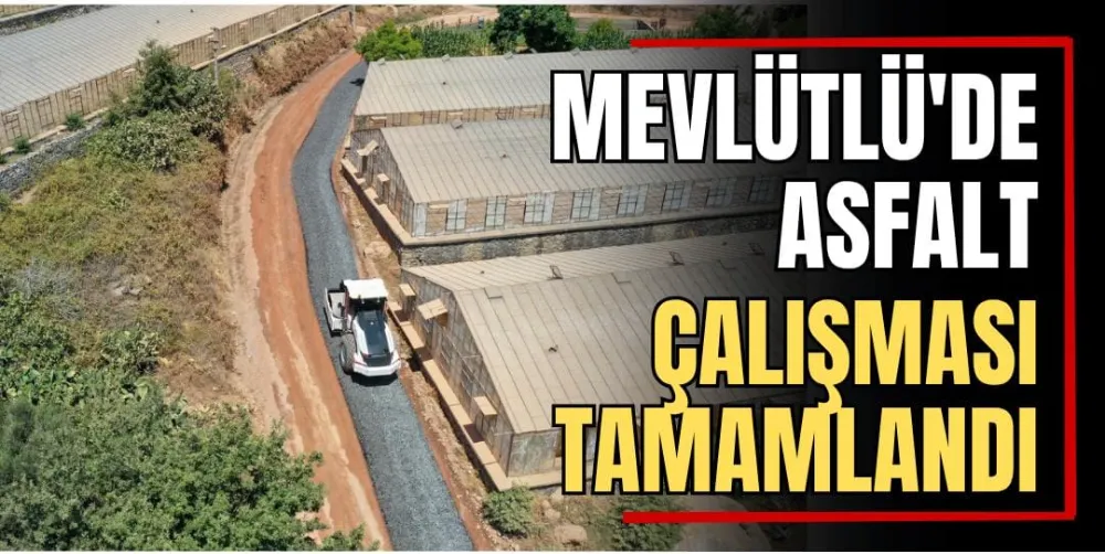 Mevlütlü’de Asfalt Çalışması Tamamlandı 