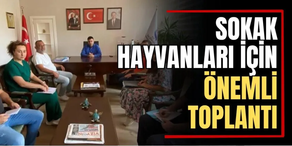Sokak Hayvanları İçin Önemli Toplantı 