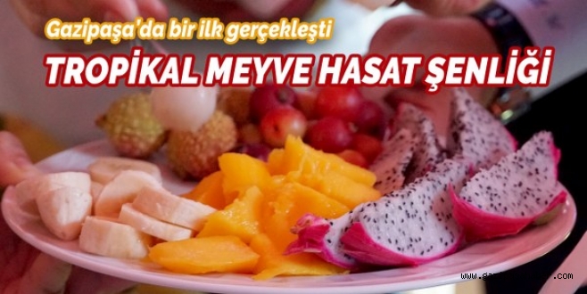 ANTALYA?DA İLK TROPİKAL MEYVE HASAT ŞENLİĞİ DÜZENLENDİ.