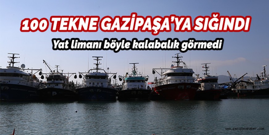 BALIKÇI GEMİLERİ GAZİPAŞA`YA SIĞINDI: İŞTE SEBEBİ