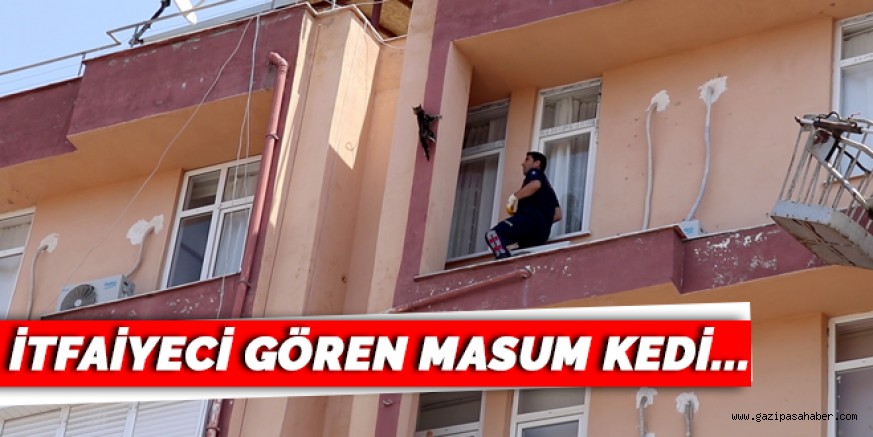 Balkonda sıkışan kedi, itfaiyeciyi görünce düz duvara tırmandı