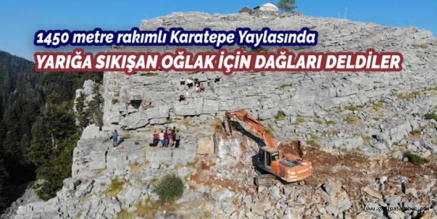 Bin 450 metre rakımda yarığa sıkışan ve 3 gündür çıkamayan oğlak için dağları deldiler