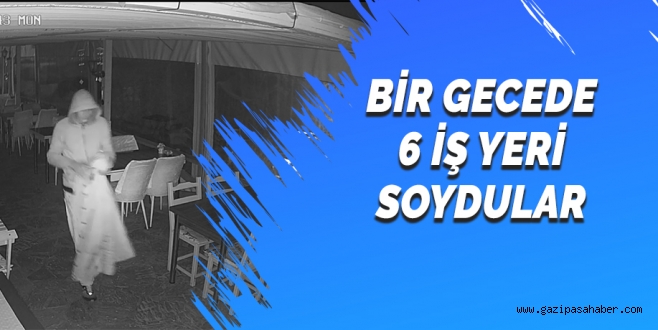 BİR GECEDE 6 İŞ YERİ SOYDULAR