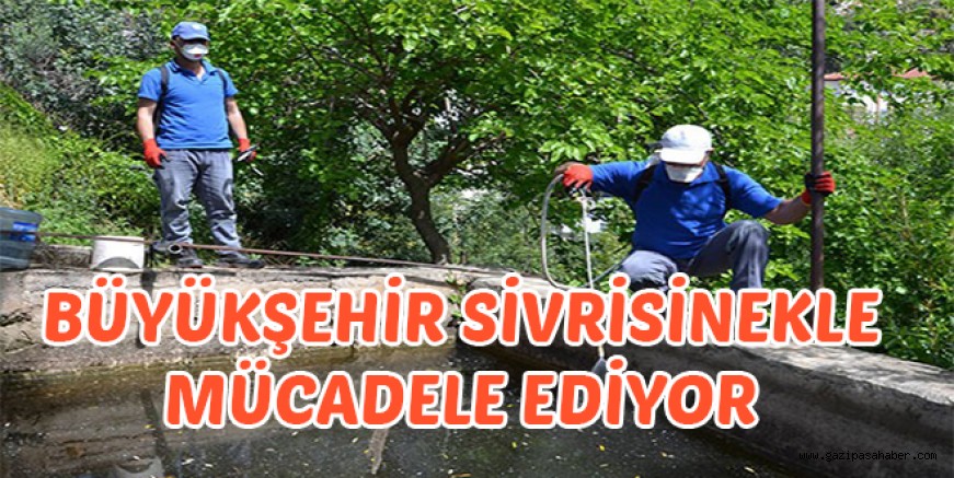 BÜYÜKŞEHİR SİVRİSİNEKLE  MÜCADELE EDİYOR