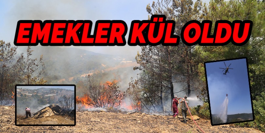 EMEKLER KÜL OLDU