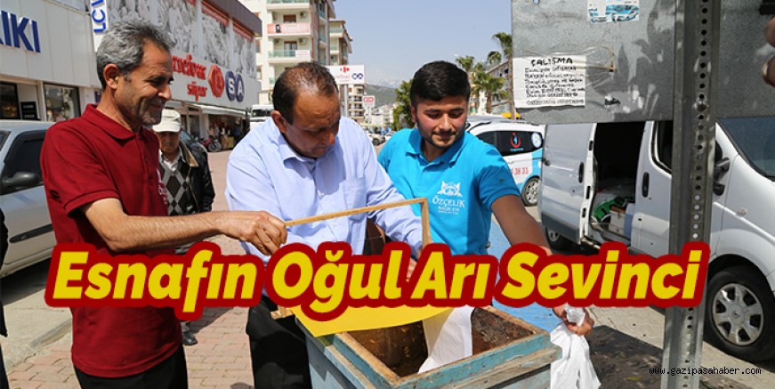 ESNAFIN OĞUL ARI SEVİNCİ