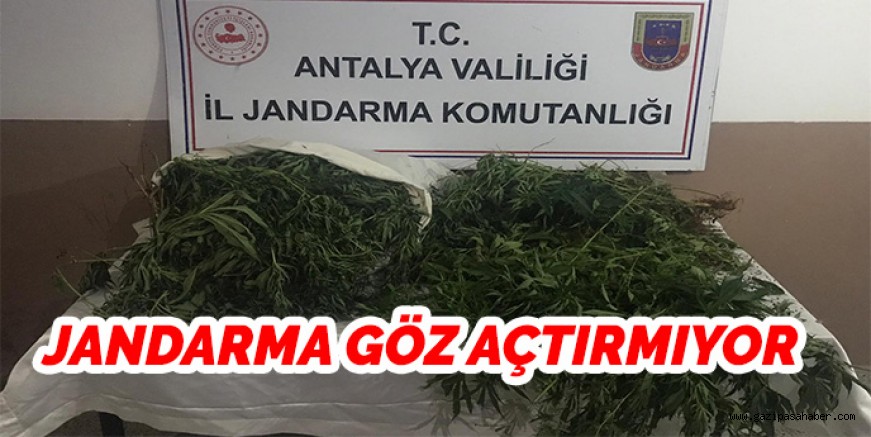 JANDARMA GÖZ AÇTIRMIYOR