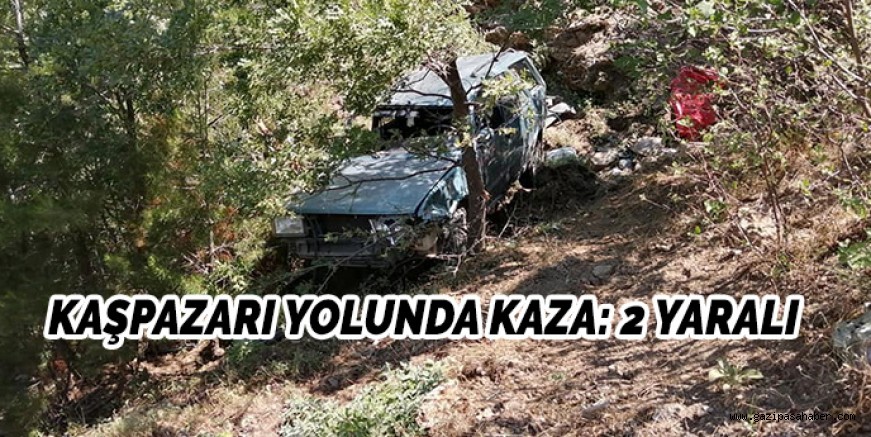 KAŞPAZARI YOLUNDA KAZA: 2 YARALI