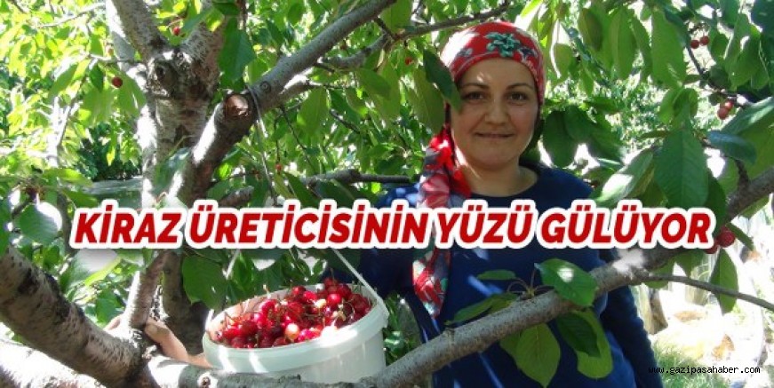 KİRAZ ÜRETİCİSİNİN YÜZÜ GÜLÜYOR