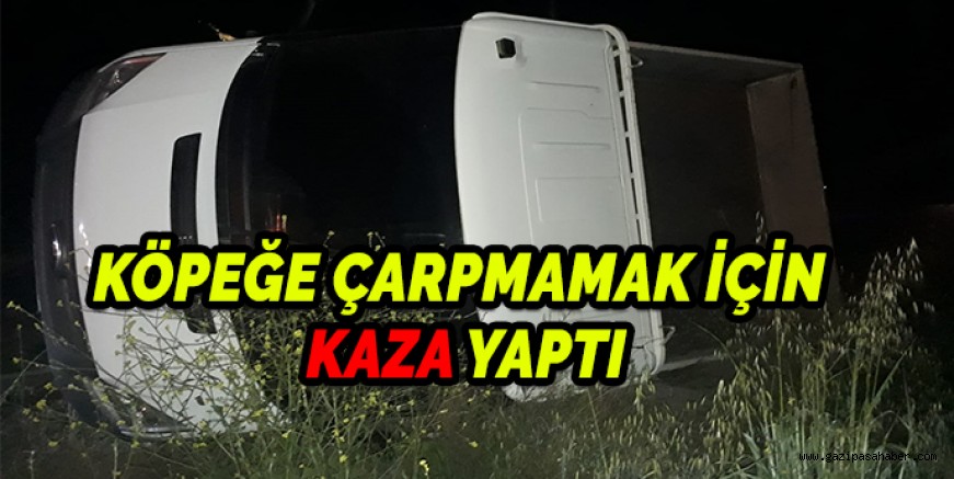 KÖPEĞE ÇARPMAMAK İÇİN KAZA YAPTI