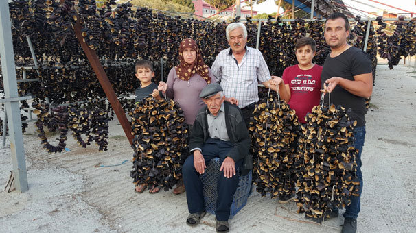 Nazilli`de oyuluyor, dünyaya yayılıyor!