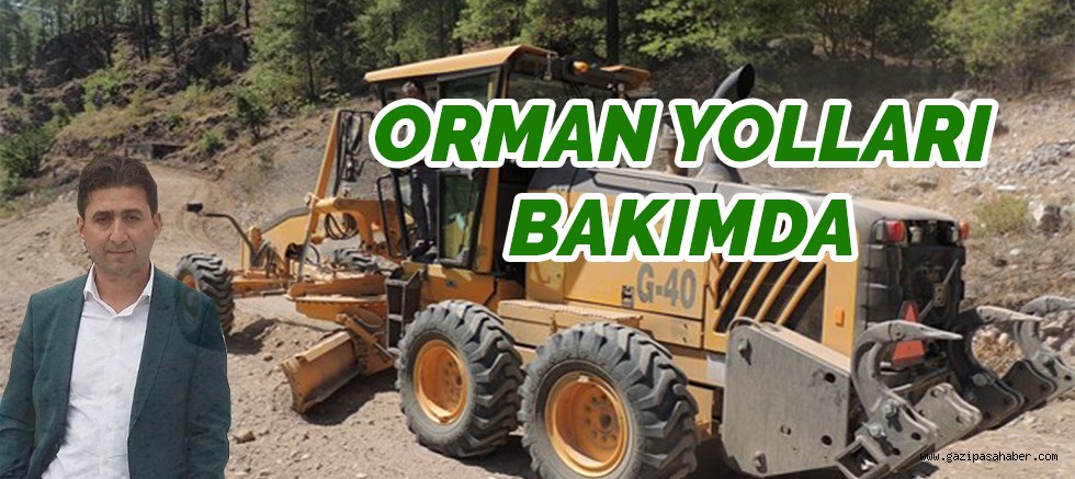 ORMAN YOLLARI BAKIMDA 