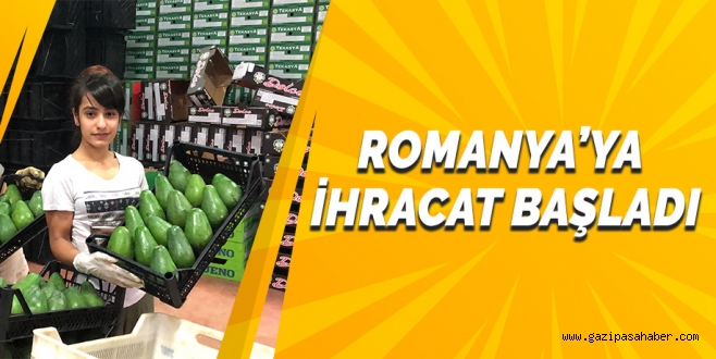 ROMANYA`YA AVOKADO İHRACATI BAŞLADI