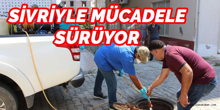 SİVRİYLE MÜCADELE SÜRÜYOR