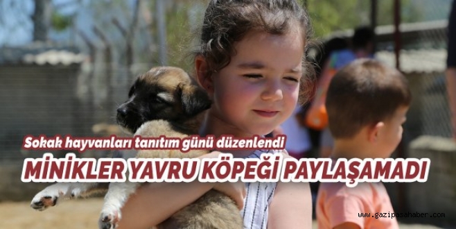 YAVRU KÖPEĞİ PAYLAŞAMADILAR