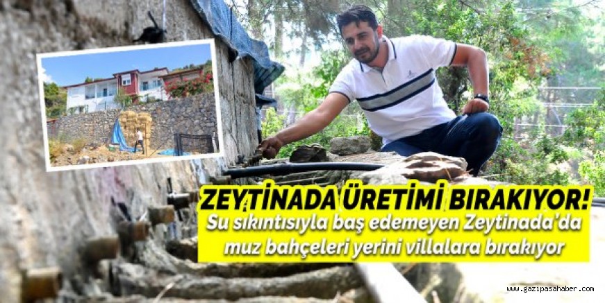 ZEYTİNADA ÜRETİMİ BIRAKIYOR!